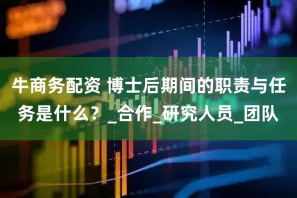 牛商务配资 博士后期间的职责与任务是什么？_合作_研究人员_团队