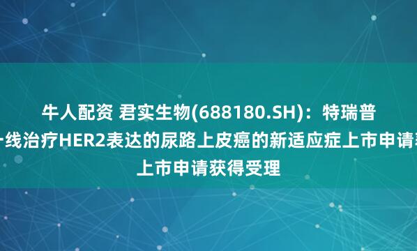 牛人配资 君实生物(688180.SH)：特瑞普利单抗一线治疗HER2表达的尿路上皮癌的新适应症上市申请获得受理